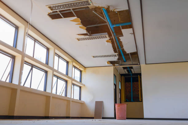 Best Carpet water damage restoration  in Sumner, WA