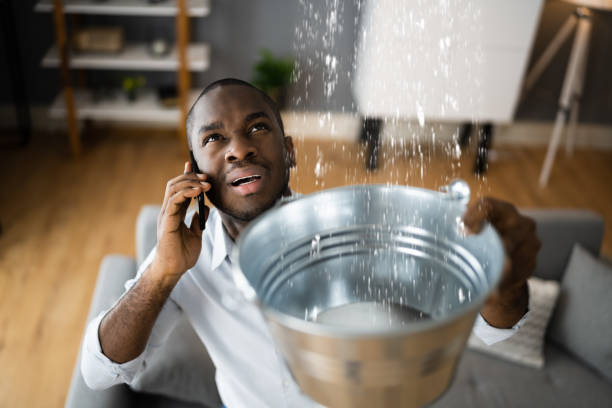 Best Water damage restoration process  in Sumner, WA