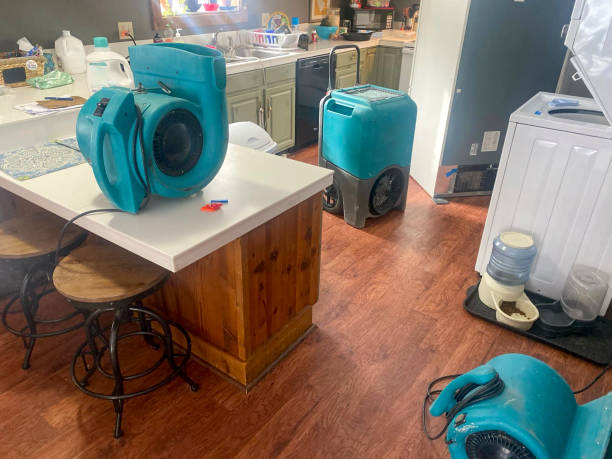 Best Ceiling water damage repair  in Sumner, WA