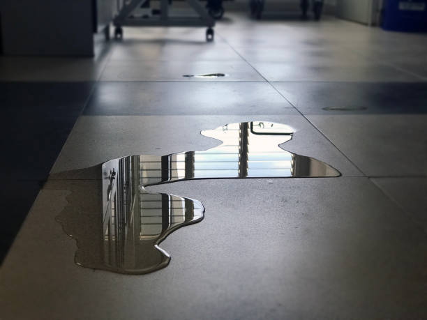 Best Commercial water damage restoration  in Sumner, WA