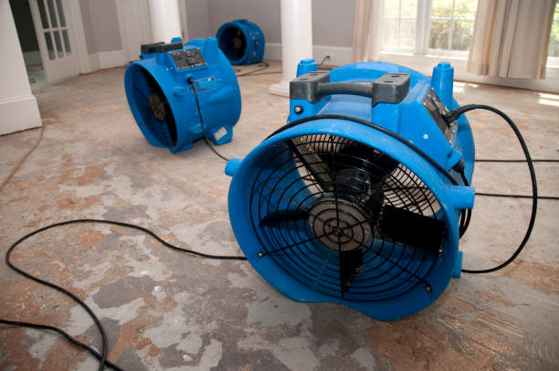 Best Water damage restoration near me  in Sumner, WA