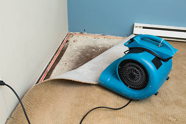 Best Emergency water damage restoration  in Sumner, WA